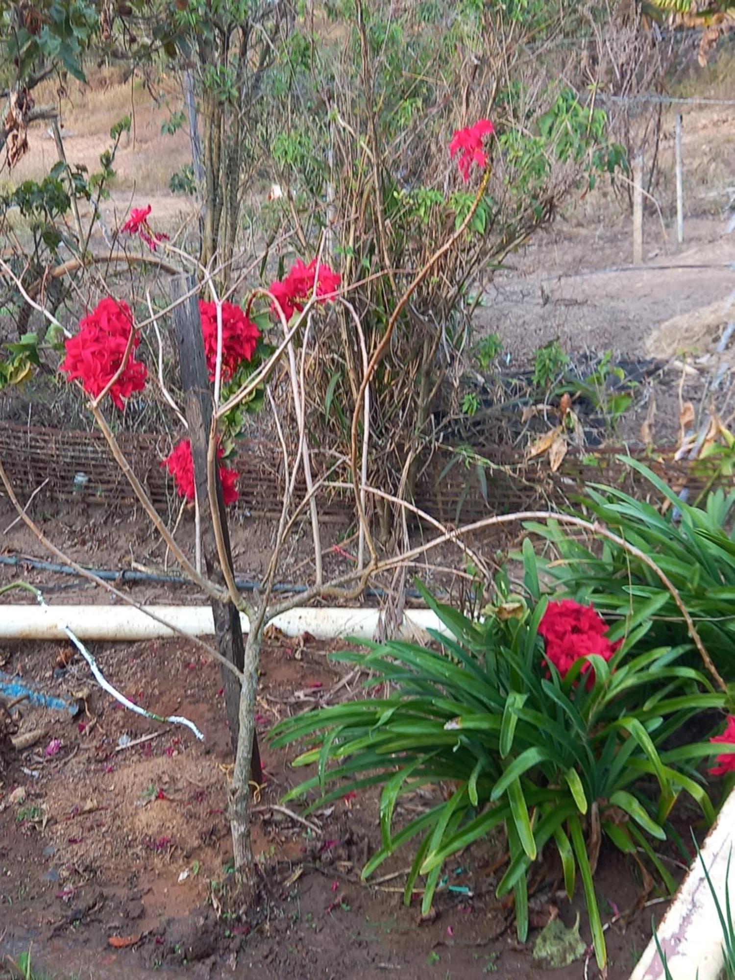 Pousada Recanto Alegre Campestre Exterior photo